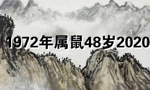 1972年属鼠48岁2020命运 1972年生属鼠2021年运势