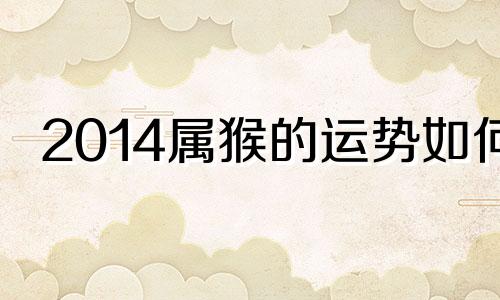 2014属猴的运势如何 2014年属猴的幸运数字