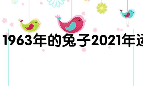 1963年的兔子2021年运势 1963年属兔的人2016年运程