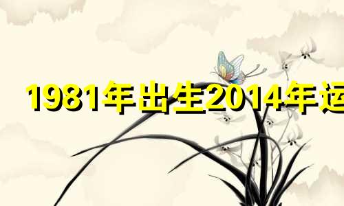 1981年出生2014年运势 1981年的鸡2024年运势