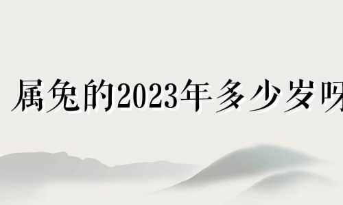 属兔的2023年多少岁呀 属兔的2023年多少岁周岁