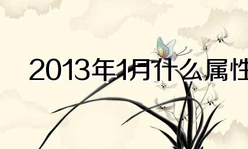 2013年1月什么属性 2013年1月什么生肖