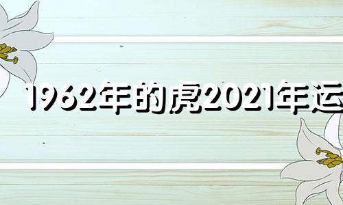 1962年的虎2021年运势 1962年属虎的2021年的运怎么样