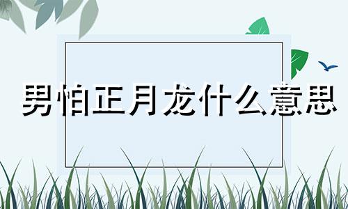 男怕正月龙什么意思 2024年正月出生的孩子五行属什么