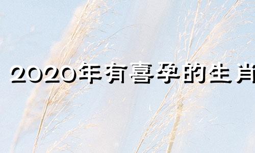 2020年有喜孕的生肖女 2020喜孕的生肖