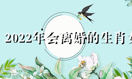 2022年会离婚的生肖女 2022年必定离婚的四大生肖男