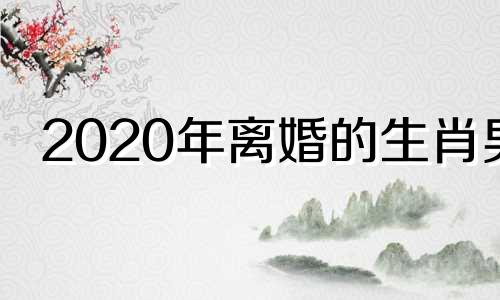 2020年离婚的生肖男 2022年离婚的属相