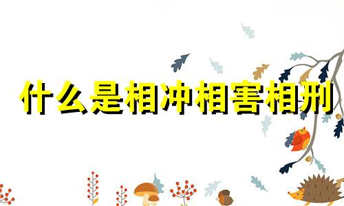 什么是相冲相害相刑 相冲相害相刑相克是什么意思