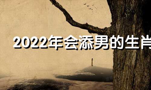 2022年会添男的生肖 