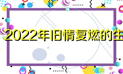 2022年旧情复燃的生肖 能够旧情复原的属相男