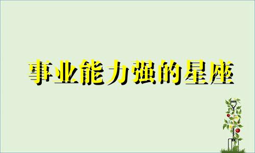 事业能力强的星座 分析能力强的生肖