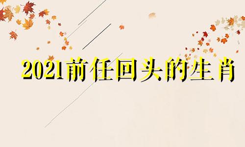 2021前任回头的生肖