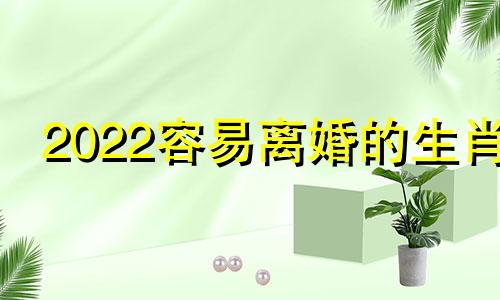 2022容易离婚的生肖 2021年哪些生肖容易离婚