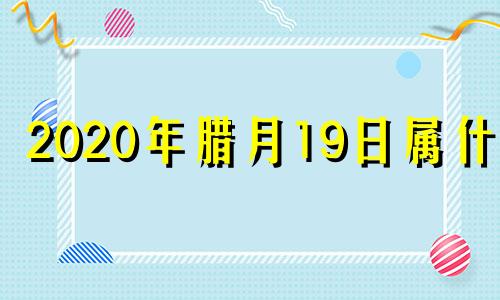 2020年腊月19日属什么 2020年的腊月19