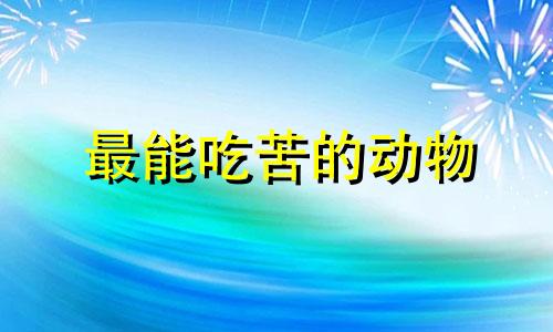 最能吃苦的动物 最能吃苦的一代人