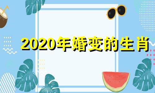 2020年婚变的生肖 2021年有婚运的生肖