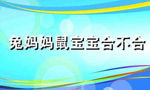 兔妈妈鼠宝宝合不合 兔妈和鼠宝的亲子关系好吗