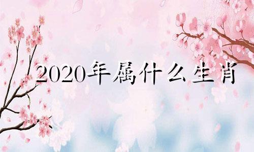 2020年属什么生肖 2020年属鼠是什么命