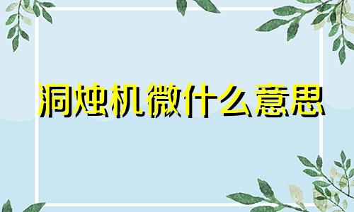 洞烛机微什么意思 洞烛机微是成语吗