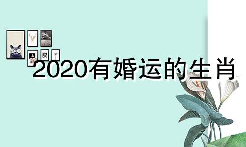 2020有婚运的生肖 19年的婚姻是什么