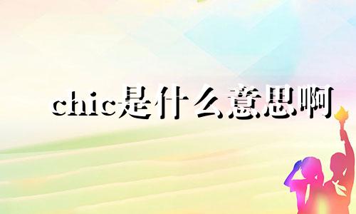 chic是什么意思啊 chick什么意思