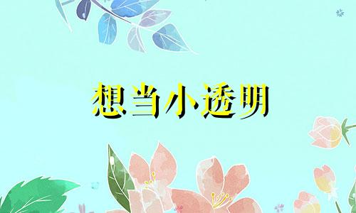 想当小透明 当个小透明好难