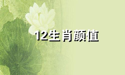 12生肖颜值 十二生肖样貌