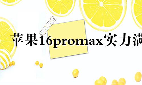 苹果16promax实力满满 实力满满成功人士