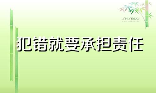 犯错就要承担责任 犯错就要