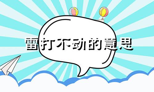 雷打不动的意思 雷打不动是成语吗