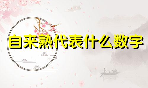 自来熟代表什么数字 自来熟是不是贬义词