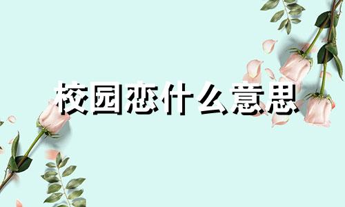 校园恋什么意思 校园恋会有结果吗