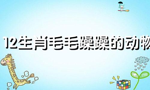 12生肖毛毛躁躁的动物 毛躁人是什么意思