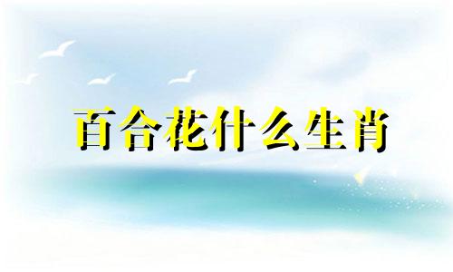 百合花什么生肖 喜欢百合花的寓意