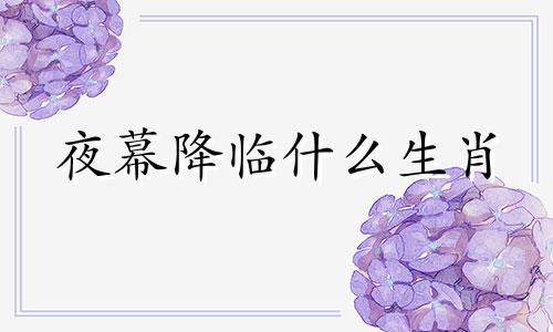 夜幕降临什么生肖 夜幕降临是成语嘛