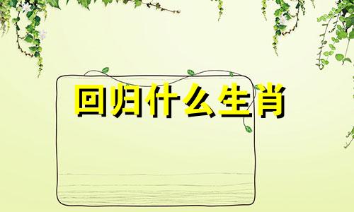 回归什么生肖 回归单身生活什么意思