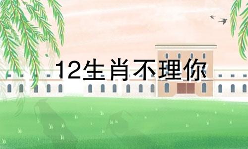 12生肖不理你 十二生肖没有