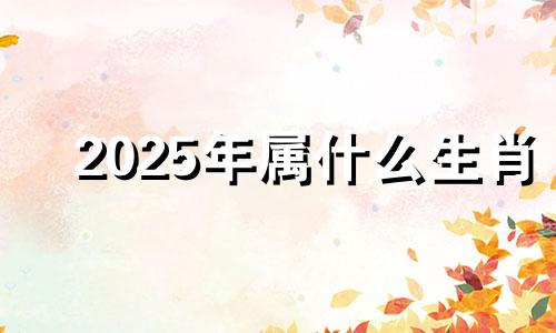 2025年属什么生肖 2025年是什么年