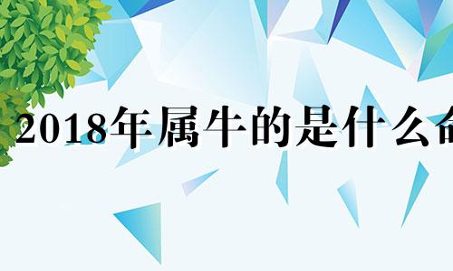 2018年属牛的是什么命 2018年出生的牛宝宝是什么命