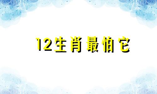 12生肖最怕它 十二生肖最怕的事情是什么没响