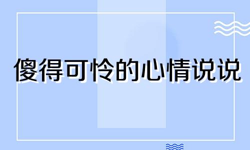 傻得可怜的心情说说 傻的可怜的人