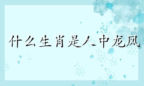 什么生肖是人中龙凤 人中龙凤猜三个数字