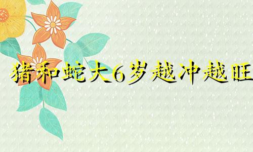 猪和蛇大6岁越冲越旺 生肖蛇和猪相冲怎样化解