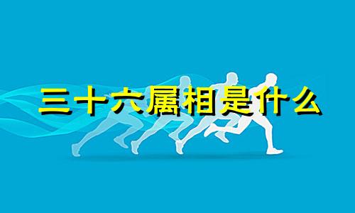 三十六属相是什么 36生肖关系表