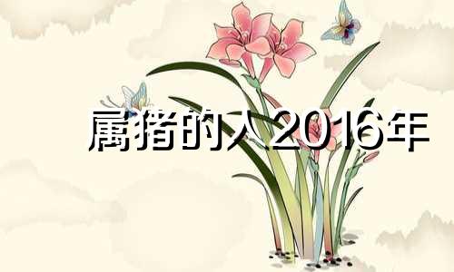 属猪的人2016年 2016年属猪的是什么命