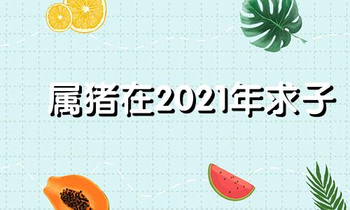 属猪在2021年求子 生肖猪2021年适合要宝宝吗