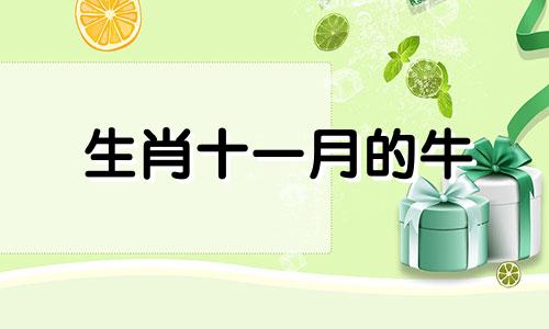 生肖十一月的牛 生肖牛11月