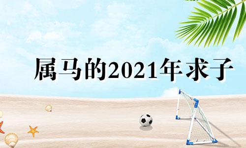 属马的2021年求子 