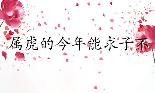 属虎的今年能求子不 虎年扎堆生孩子