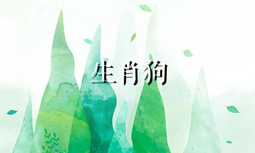 生肖狗 花 属狗的生肖花是什么